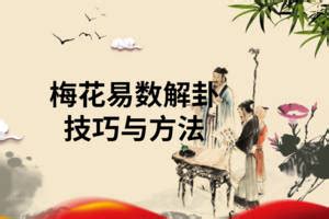 梅花易數免費|周易梅花易數排盤